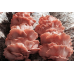 Мицелий Вешенки розовой / Розовый фламинго (Pleurotus djamor) Мицелий Вешенки розовой / Розовый фламинго (Pleurotus djamor)